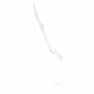 CLASSIC CALACATTA (MATT) -A 1000*3000