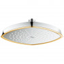 27974IG0 GROHE Rsh Grandera 210 верхний душ